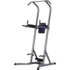 Tower 300 Master Fitness Power Tower Silver II