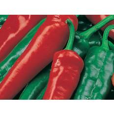 Seklos Chili Pepper Poseidon Grøntsagsfrø