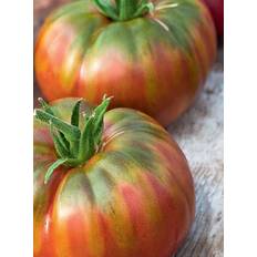 Krukker, Planter & Dyrkning Seklos Tomato Noire De Creme Grøntsagsfrø