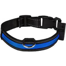 Eyenimal Light Collar USB Rechargeable - Bleu M