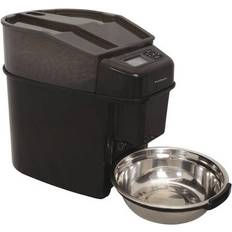 Chien - Gamelles pour chiens et Distributeurs de nourriture pour chiens Animaux de compagnie PetSafe Simply Feed