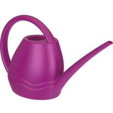 Aquarius Watering Can