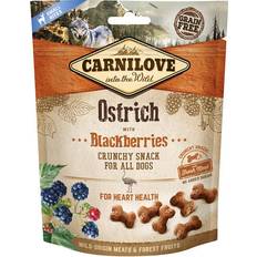 Carnilove crunchy Carnilove Crunchy Snacks Struds med Brombær