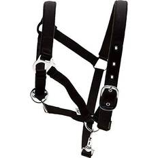 Kerbl Covalliero Halters