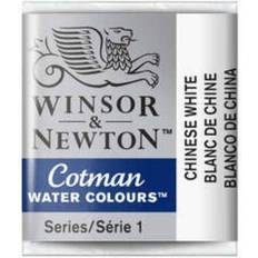 Acquerelli Winsor & Newton Cotman Water Colours Chinese White Half Pan