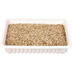 Pets Trixie Cat Grass Seed