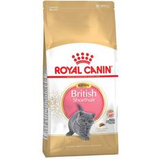 Royal canin kitten 10kg Royal Canin British Shorthair Kitten 10kg