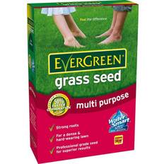 Multi Purpose Grass Seed
