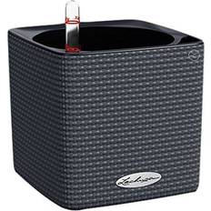 Lechuza Cube Color Pot Krukke