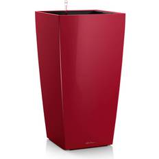Lechuza Cubico 30 Krukke