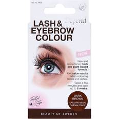 Eyebrow & Eyelash Tints Depend Perfect Eye Lash & Eyebrow Colour #4906 Dark Brown