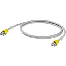 Cat6a - Network Cable Cables Weidmüller LSZH RJ45-RJ45 S/FTP Cat6a 2m