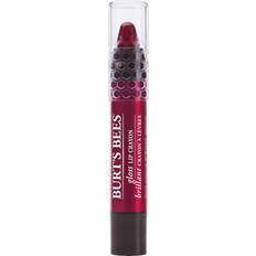 Burt's Bees Gloss Lip Crayon Pacific Coast