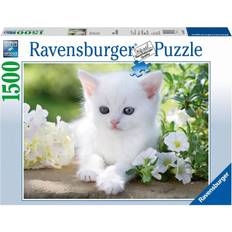 Plastic Classic Jigsaw Puzzles Ravensburger White kitten 1500 Pieces