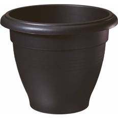 Palladian