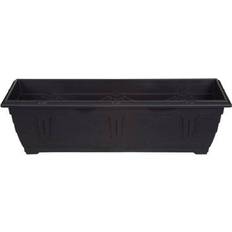 Venetian Window Box