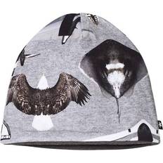 Molo Ned - Planes & Birds (7S18T210 4685)
