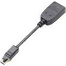 PNY DisplayPort - Mini DisplayPort M-F 0.1m