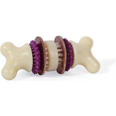 PetSafe Busy Buddy Bristle Bone L