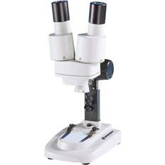 Junior 20x Stereo Microscope