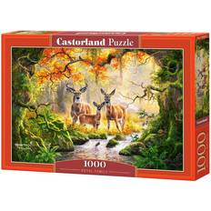 Castorland Royal Family 1000 Pieces