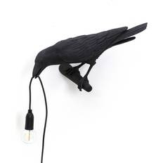 Bird Looking