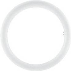 G10q Lámparas LED Osram Tubo led circular g10q 2000 lúmenes 18w blanco frío