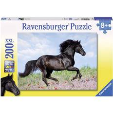 Puzzles Ravensburger Black Stallion 200 Pieces