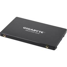 Gigabyte GP-GSTFS31120GNTD 120GB