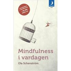 Mindfulness i vardagen: Vägar till medveten närvaro (Häftad)