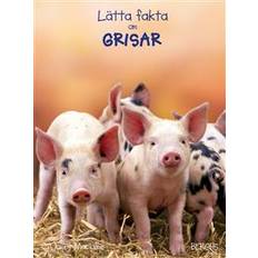 Lätta fakta om grisar (Inbunden)