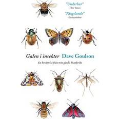 Galen i insekter: En berättelse från min gård i Frankrike (Häftad)