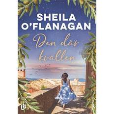 Den där kvällen (Häftad)