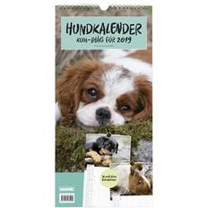 Hundkalender 2019 (Spiral)