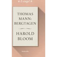 Litteraturvetenskap E-böcker Thomas Mann: Bergtagen (E-bok, 2018)