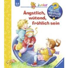 Ängstlich, wütend, fröhlich sein (Inbunden)