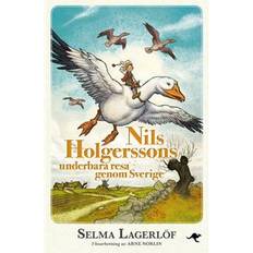 Nils holgerssons underbara resa genom sverige Nils Holgerssons underbara resa genom Sverige (E-bok, 2017)