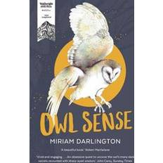 Owl Owl Sense (Paperback, 2019)