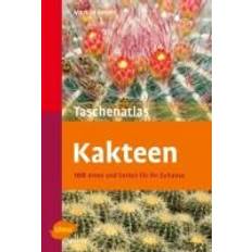 Taschenatlas Kakteen (Paperback, 2011)