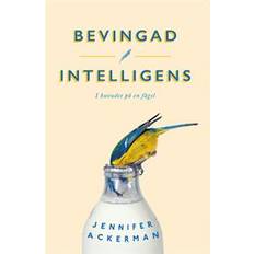 Bevingad intelligens (E-bok)