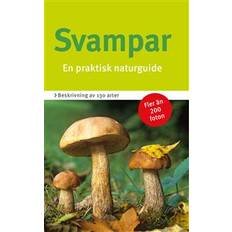 Djur & Natur - Svenska E-böcker Svampar: en praktisk naturguide (E-bok, 2018)