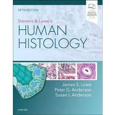 Books Stevens & Lowe's Human Histology (Paperback, 2019)