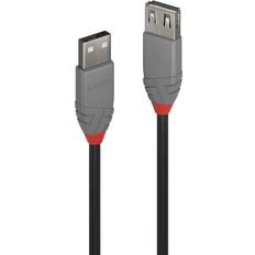 Lindy Anthra Line USB A-USB A 2.0 M-F 0.2m