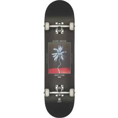 Rullalaudat Globe G1 Palm Off 8.0" Complete musta black