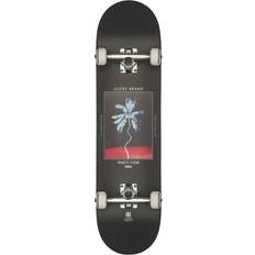 Skateboards Globe G1 Palm Off 8.0"