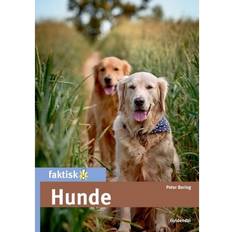 Hunde (Inbunden, 2018)