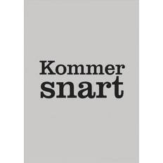 Vild mad i køkkenet (Indbundet, 2019)