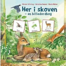 Bøger Her i skoven: en billedordbog (Indbundet, 2019)
