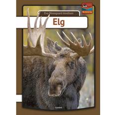 Elg Elg (Indbundet, 2019)