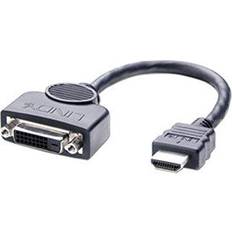 Cavo HDMI Cavi Lindy HDMI-DVI M-F 0.2m